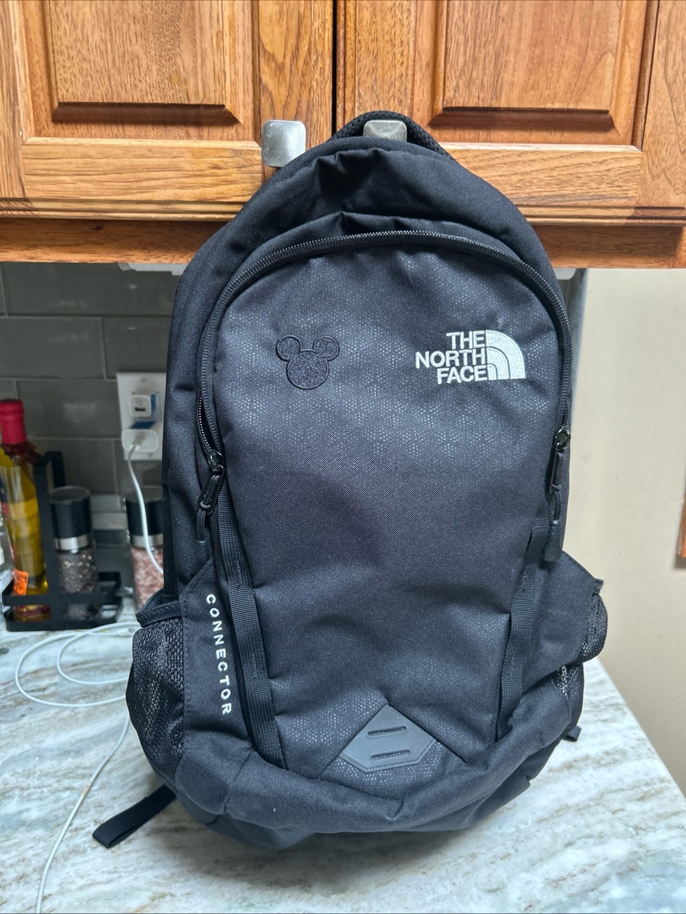 North Face Backpack Connector  Multifunction Black Hike Work School Pad Laptop